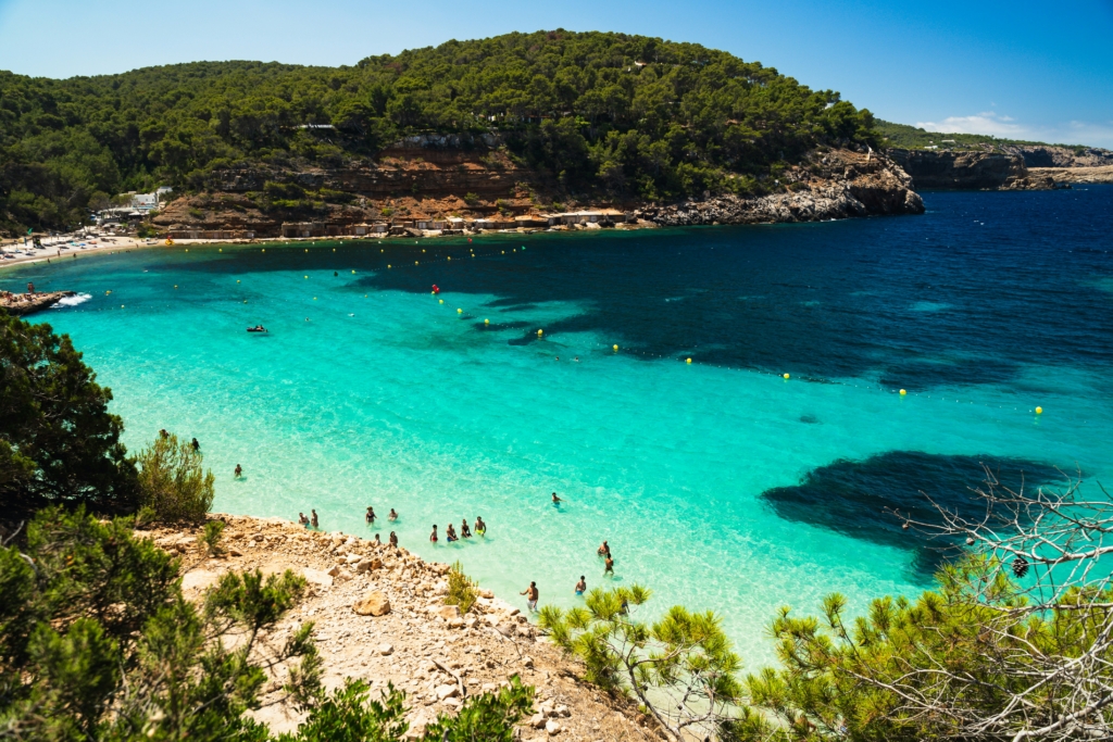 ibizare