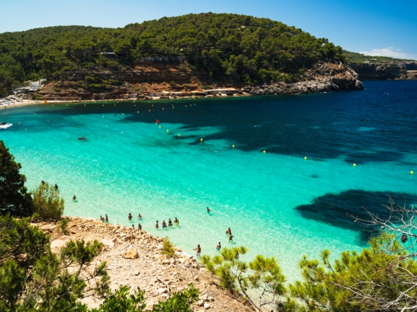 ibizare