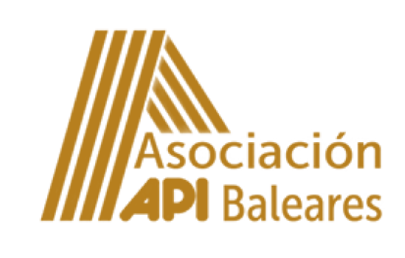 API Logo